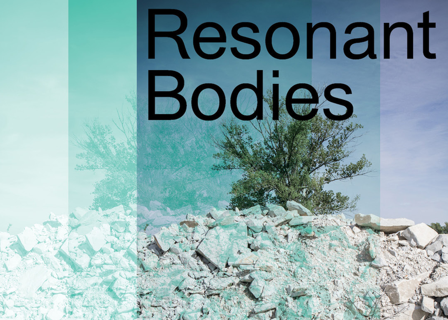 Resonant Bodies 2019