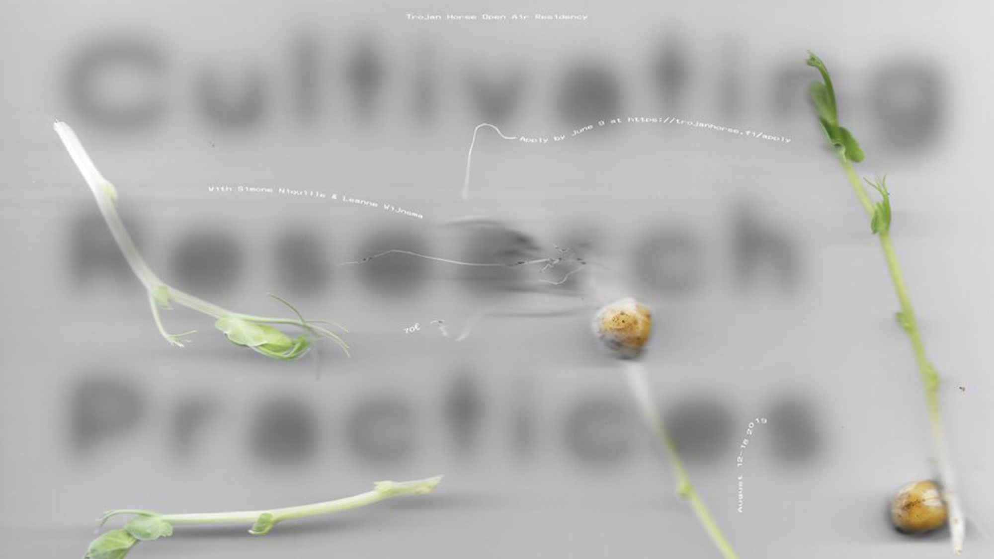 Trojan-Horse-Open-Air-Residency-2019--Cultivating-Research-Practices